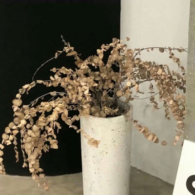 Furry插画元素设计技巧福瑞交流群